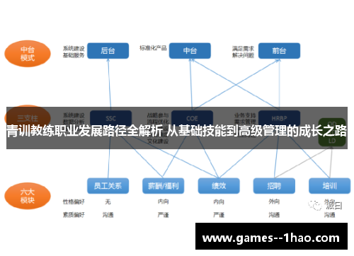 青训教练职业发展路径全解析 从基础技能到高级管理的成长之路