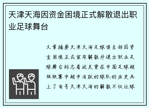 天津天海因资金困境正式解散退出职业足球舞台