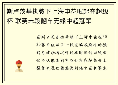 斯卢茨基执教下上海申花崛起夺超级杯 联赛末段翻车无缘中超冠军